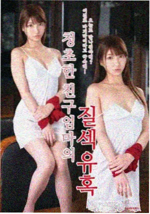 长风渡海剧集封面